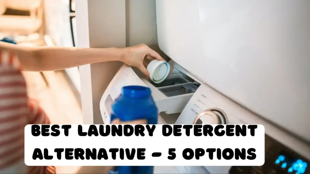 Best Laundry Detergent Alternative - 5 Options