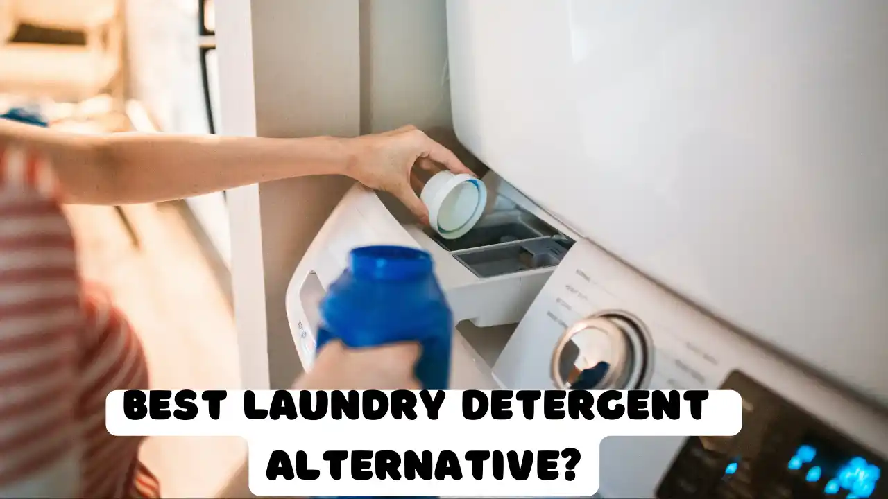 Best Laundry Detergent Alternative When You've Run Out - Exploring List of Alternative to Laundry Detergent