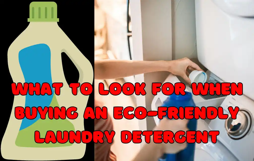 What to Look for When Buying an Eco-Friendly Laundry Detergent